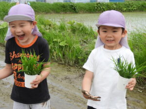 ”田植え”体験！！～年長組～